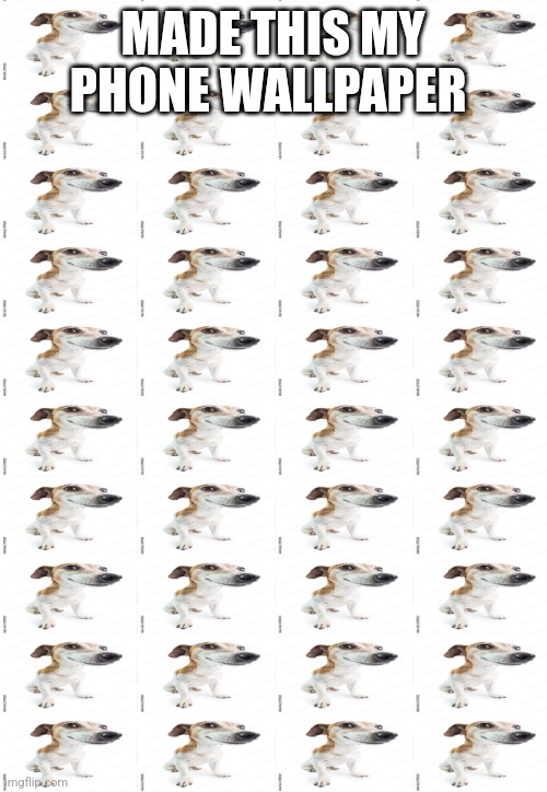 MADE THIS MY PHONE WALLPAPER | made w/ Imgflip meme maker