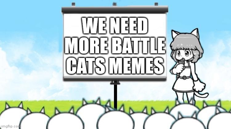 True | WE NEED MORE BATTLE CATS MEMES | image tagged in moneko protest,memes,battlecats,funny | made w/ Imgflip meme maker