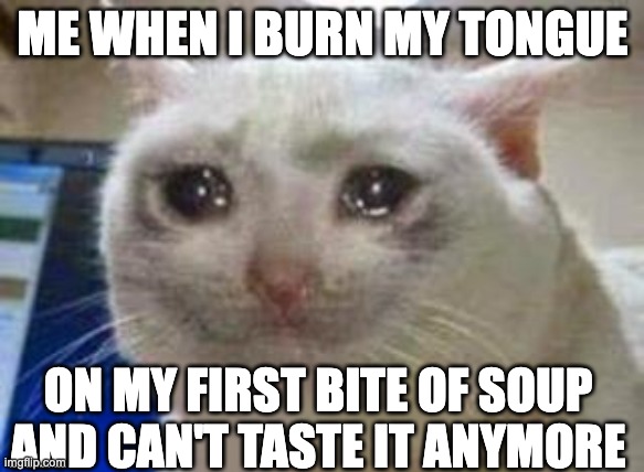 hot soup is tasty but dangerous |  ME WHEN I BURN MY TONGUE; ON MY FIRST BITE OF SOUP AND CAN'T TASTE IT ANYMORE | image tagged in sad cat,soup | made w/ Imgflip meme maker