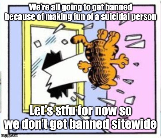 Garfield gets thrown out of a window | We’re all going to get banned because of making fun of a suicidal person; Let’s stfu for now so we don’t get banned sitewide | image tagged in garfield gets thrown out of a window | made w/ Imgflip meme maker
