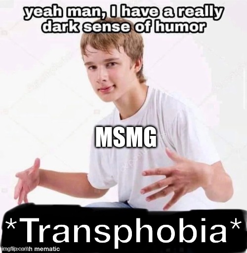 most non r/iamveryedgy worthy msmg user | MSMG | image tagged in transphobic,bruh,edgy,teenagers,immature,immature highschoolers | made w/ Imgflip meme maker