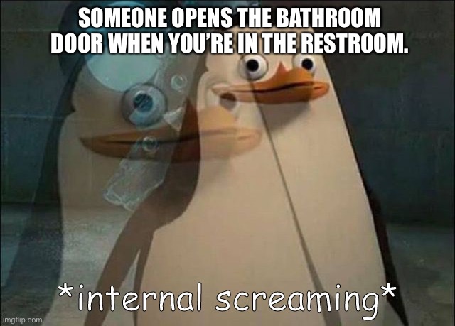 Private Internal Screaming | SOMEONE OPENS THE BATHROOM DOOR WHEN YOU’RE IN THE RESTROOM. | image tagged in private internal screaming | made w/ Imgflip meme maker