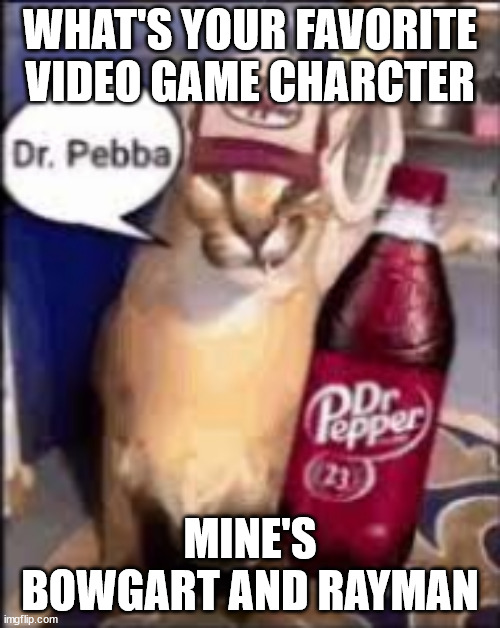 dr pebba | WHAT'S YOUR FAVORITE VIDEO GAME CHARCTER; MINE'S BOWGART AND RAYMAN | image tagged in dr pebba | made w/ Imgflip meme maker