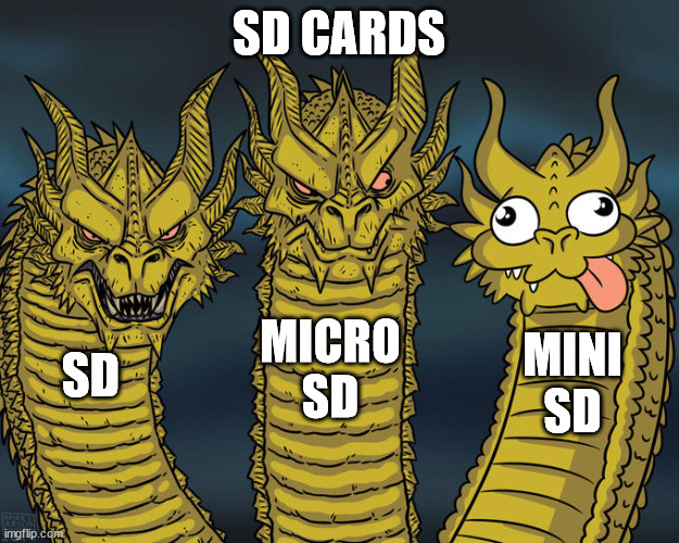 SD Cards | SD CARDS; MICRO SD; MINI SD; SD | image tagged in three-headed dragon | made w/ Imgflip meme maker