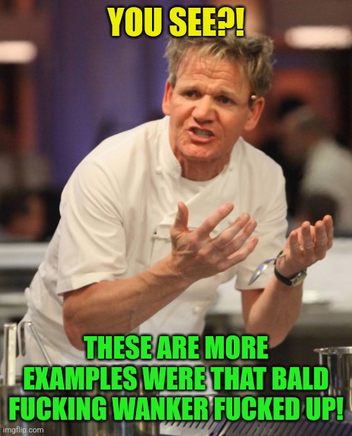 Gordon Ramsay | YOU SEE?! THESE ARE MORE EXAMPLES WERE THAT BALD FUCKING WANKER FUCKED UP! | image tagged in gordon ramsay | made w/ Imgflip meme maker