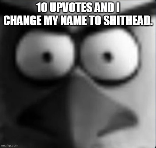 chuckpost | 10 UPVOTES AND I CHANGE MY NAME TO SHITHEAD. | image tagged in chuckpost | made w/ Imgflip meme maker