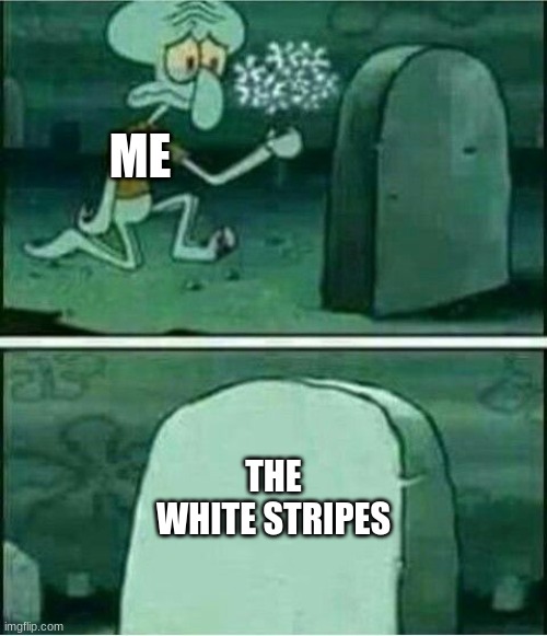 R.I.P The White Stripes | ME; THE WHITE STRIPES | image tagged in rip to somebody | made w/ Imgflip meme maker