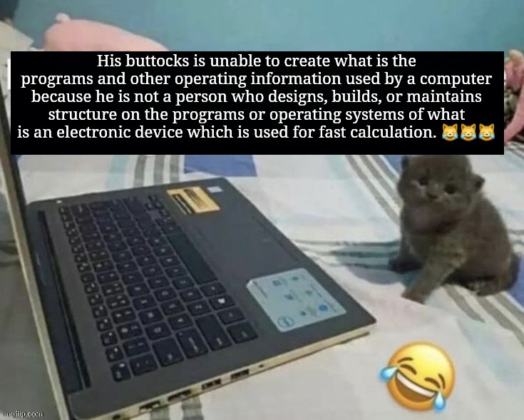 :nerd: | His buttocks is unable to create what is the programs and other operating information used by a computer because he is not a person who designs, builds, or maintains structure on the programs or operating systems of what is an electronic device which is used for fast calculation. 😹😹😹 | image tagged in software engineer | made w/ Imgflip meme maker