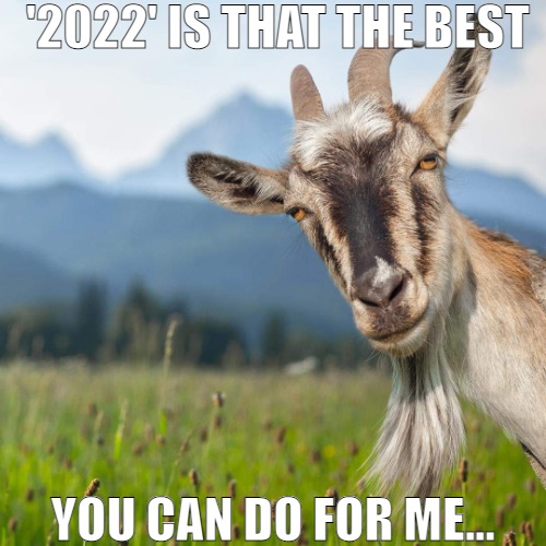 A total waist of time. | '2022' IS THAT THE BEST; YOU CAN DO FOR ME... | image tagged in creepy condescending goat | made w/ Imgflip meme maker