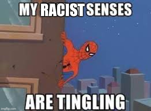 My Spidey Senses Are Tingling | RACIST | image tagged in my spidey senses are tingling | made w/ Imgflip meme maker