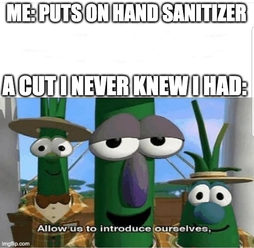 its so annoying | ME: PUTS ON HAND SANITIZER; A CUT I NEVER KNEW I HAD: | image tagged in allow us to introduce ourselves | made w/ Imgflip meme maker