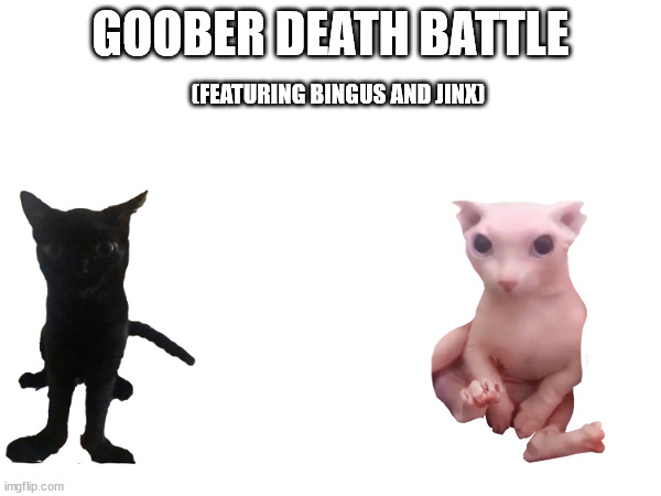 GOOBER DEATH BATTLE; (FEATURING BINGUS AND JINX) | made w/ Imgflip meme maker