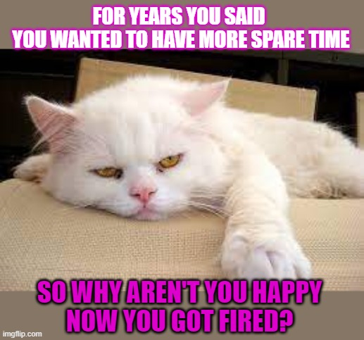 This #lolcat wonders why people aren't happy when they get what they want | FOR YEARS YOU SAID 
YOU WANTED TO HAVE MORE SPARE TIME; SO WHY AREN'T YOU HAPPY
NOW YOU GOT FIRED? | image tagged in lolcat,think about it,be careful,what do we want | made w/ Imgflip meme maker