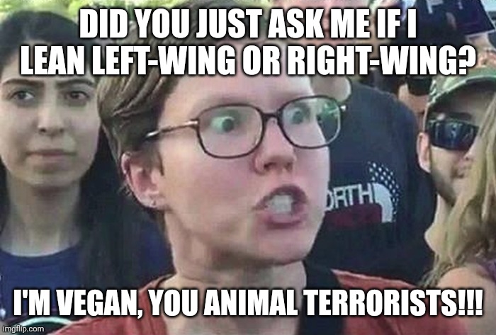 Lol | DID YOU JUST ASK ME IF I LEAN LEFT-WING OR RIGHT-WING? I'M VEGAN, YOU ANIMAL TERRORISTS!!! | image tagged in triggered liberal | made w/ Imgflip meme maker