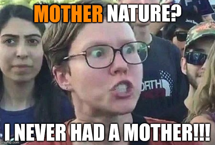 Lmao | MOTHER; MOTHER NATURE? I NEVER HAD A MOTHER!!! | image tagged in triggered liberal | made w/ Imgflip meme maker