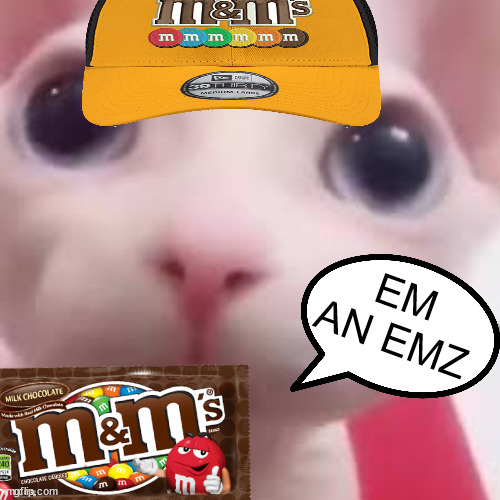 EM AN EMZ | made w/ Imgflip meme maker