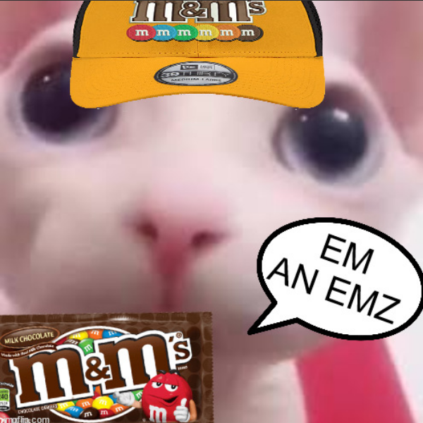 em an emz Blank Meme Template