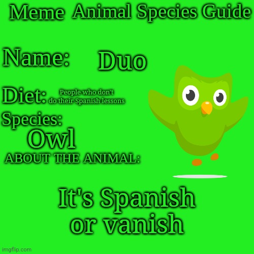 Duo | Duo; People who don't do their Spanish lessons; Owl; It's Spanish or vanish | image tagged in meme animal species guide,duolingo bird,duolingo,owl | made w/ Imgflip meme maker