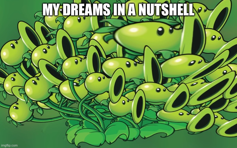 Lol | MY DREAMS IN A NUTSHELL | image tagged in funny memes | made w/ Imgflip meme maker