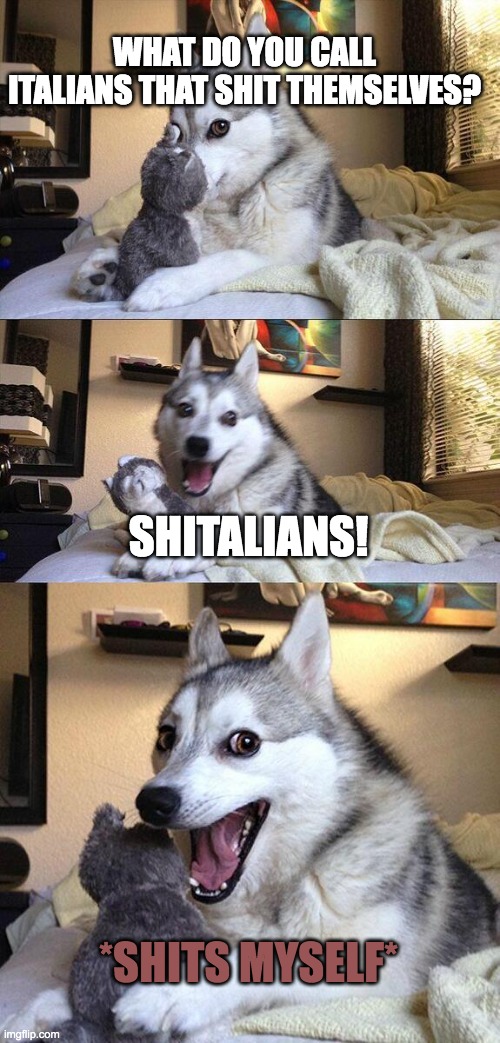 good pun dog | WHAT DO YOU CALL ITALIANS THAT SHIT THEMSELVES? SHITALIANS! *SHITS MYSELF* | image tagged in memes,bad pun dog | made w/ Imgflip meme maker