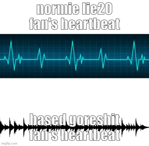 cool breakcore meem | normie lie20 fan's heartbeat; based goreshit fan's heartbeat | image tagged in amen break heart beat meme template | made w/ Imgflip meme maker