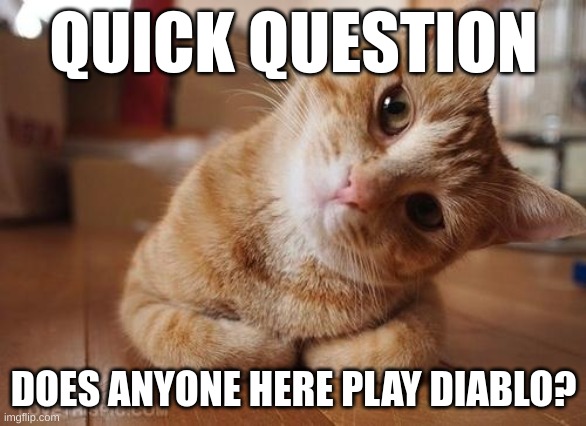 if you don't highly reccomended to those who like dungeons and mages and monsters | QUICK QUESTION; DOES ANYONE HERE PLAY DIABLO? | image tagged in curious question cat | made w/ Imgflip meme maker
