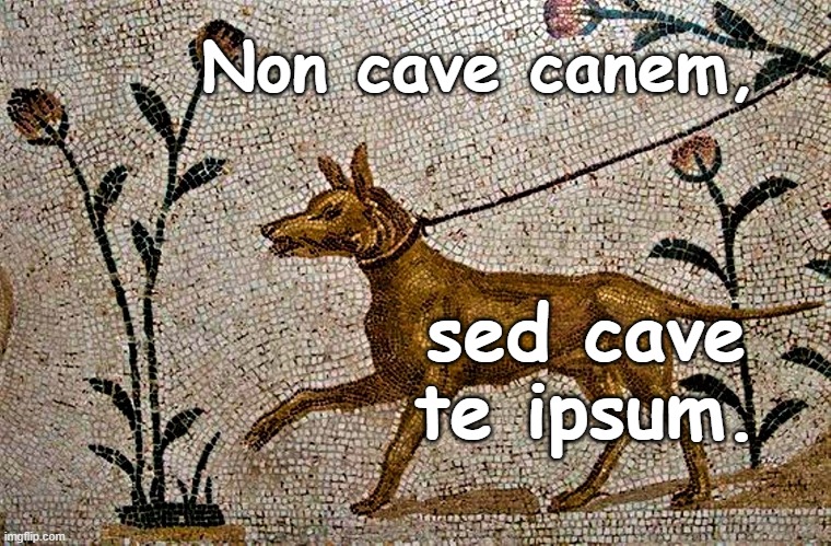 Non cave canem, sed cave te ipsum. | made w/ Imgflip meme maker