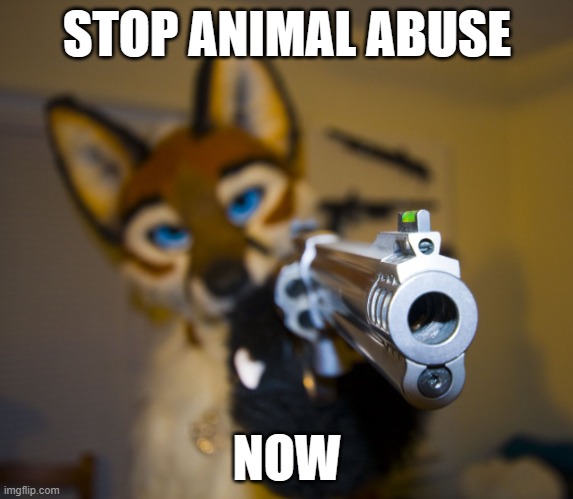 stop animal abuse (i don't know where the picture came from) | STOP ANIMAL ABUSE; NOW | image tagged in furry with gun | made w/ Imgflip meme maker