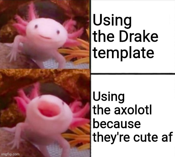 They are so cute | Using the Drake template; Using the axolotl because they're cute af | image tagged in memes,axolotl drake,funny,axolotl,drake hotline bling,hotline bling | made w/ Imgflip meme maker