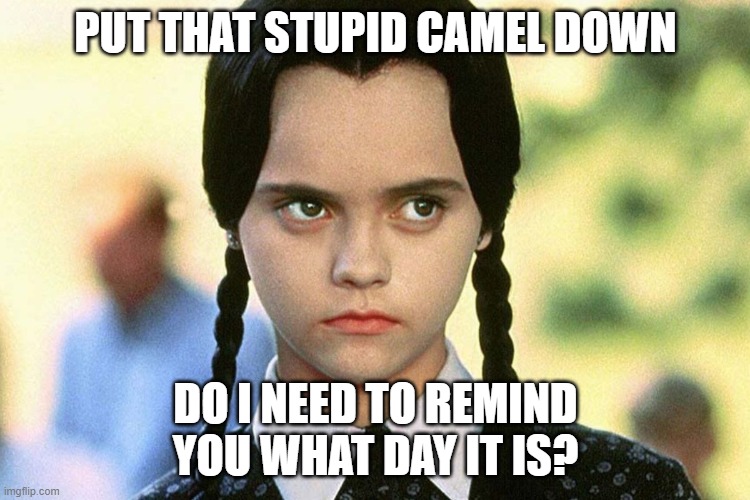 its that fun day of the week again | PUT THAT STUPID CAMEL DOWN; DO I NEED TO REMIND YOU WHAT DAY IT IS? | image tagged in wednesday,christina ricci,addams family,funny af,tv ads,movies | made w/ Imgflip meme maker