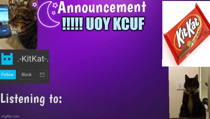 Kitty's announcment temp V3 | !!!!! UOY KCUF | image tagged in kitty's announcment temp v3 | made w/ Imgflip meme maker