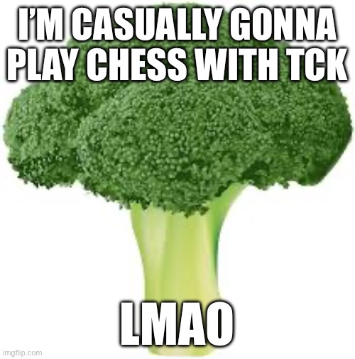 I’M CASUALLY GONNA PLAY CHESS WITH TCK; LMAO | made w/ Imgflip meme maker