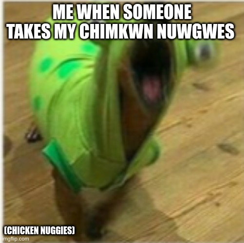 like why? | ME WHEN SOMEONE TAKES MY CHIMKWN NUWGWES; (CHICKEN NUGGIES) | image tagged in funny animals | made w/ Imgflip meme maker