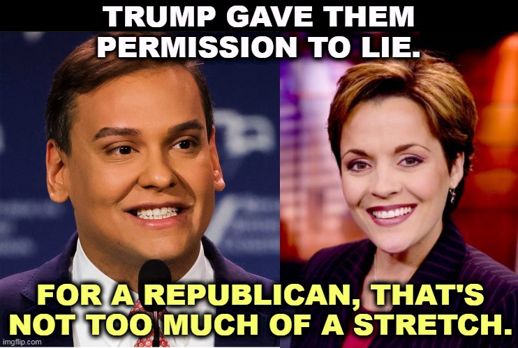 TRUMP GAVE THEM PERMISSION TO LIE. FOR A REPUBLICAN, THAT'S NOT TOO MUCH OF A STRETCH. | image tagged in republican,lies,liars | made w/ Imgflip meme maker