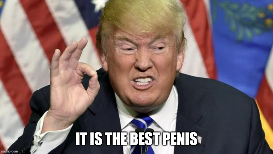 trump the best | IT IS THE BEST PENIS | image tagged in trump the best | made w/ Imgflip meme maker