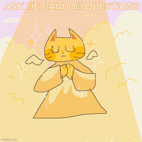 Anything at all don’t hold back | ASK ME RANDOM QUESTIONS | made w/ Imgflip meme maker