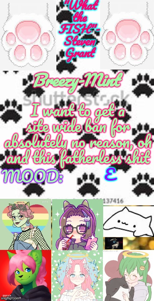 Breezy-Mint | I want to get a site wide ban for absolutely no reason, oh and this fatherless shit; E | image tagged in breezy-mint | made w/ Imgflip meme maker