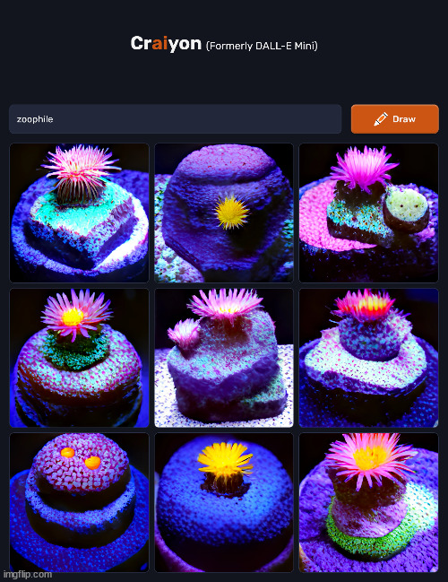 zoophile = coral | made w/ Imgflip meme maker