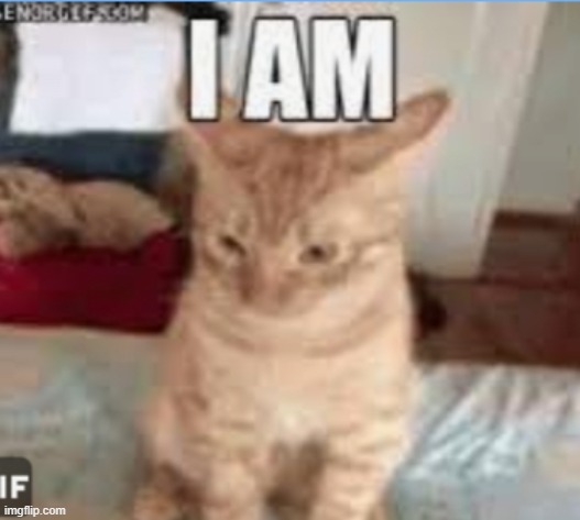 image tagged in i am | made w/ Imgflip meme maker