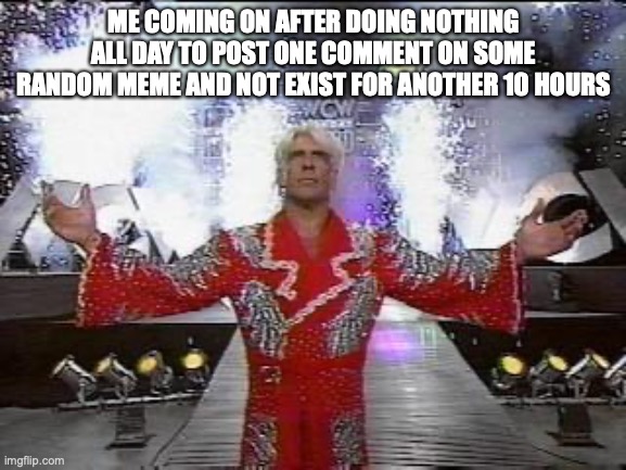 when the | ME COMING ON AFTER DOING NOTHING ALL DAY TO POST ONE COMMENT ON SOME RANDOM MEME AND NOT EXIST FOR ANOTHER 10 HOURS | image tagged in rick flair entrance | made w/ Imgflip meme maker