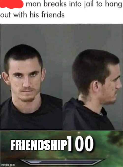 FRIENDSHIP | image tagged in level 100 | made w/ Imgflip meme maker