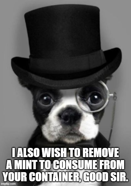 dog with top hat | I ALSO WISH TO REMOVE A MINT TO CONSUME FROM YOUR CONTAINER, GOOD SIR. | image tagged in dog with top hat | made w/ Imgflip meme maker