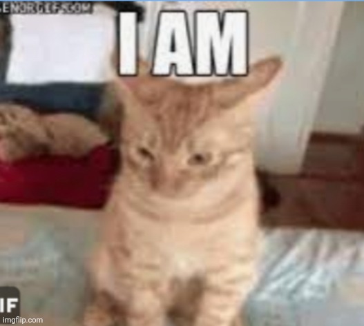 image tagged in i am | made w/ Imgflip meme maker