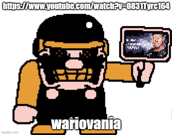 the M-peror tells you to kys | https://www.youtube.com/watch?v=0831Tyrc164; wariovania | image tagged in the m-peror tells you to kys | made w/ Imgflip meme maker