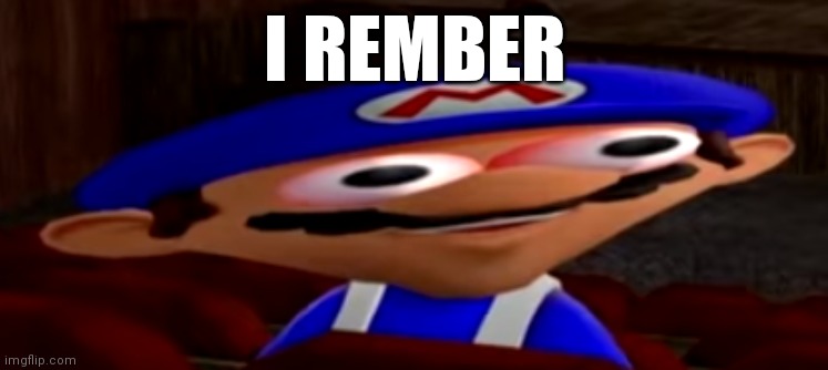 smg4 stare | I REMBER | image tagged in smg4 stare | made w/ Imgflip meme maker