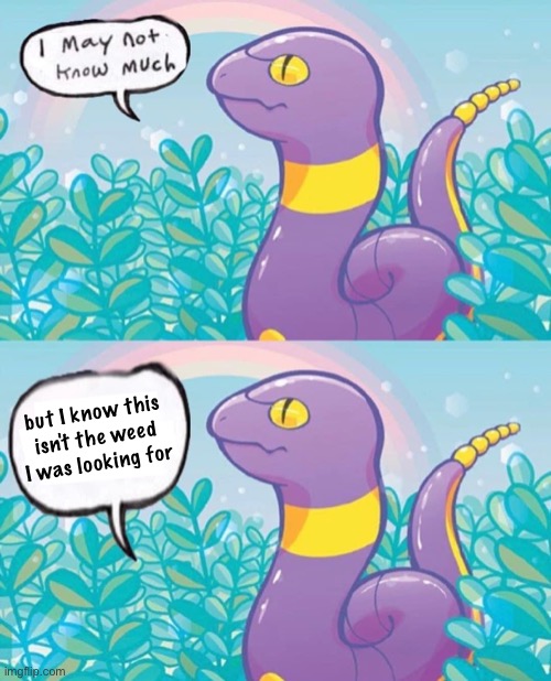Pot head dino disappointed by a field of weeds | but I know this isn't the weed I was looking for | image tagged in ekans i may not know much,weed,disappointment,unexpected,dinosaur | made w/ Imgflip meme maker
