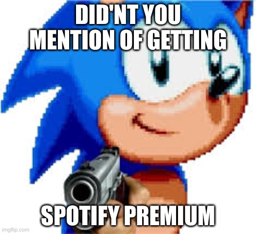 remember that one video | DID'NT YOU MENTION OF GETTING; SPOTIFY PREMIUM | image tagged in sonic with a gun | made w/ Imgflip meme maker