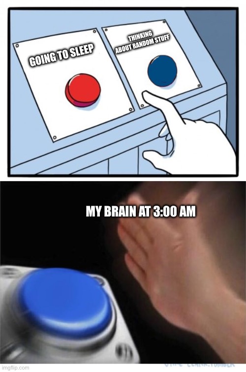 two buttons 1 blue | THINKING ABOUT RANDOM STUFF; GOING TO SLEEP; MY BRAIN AT 3:00 AM | image tagged in two buttons 1 blue | made w/ Imgflip meme maker