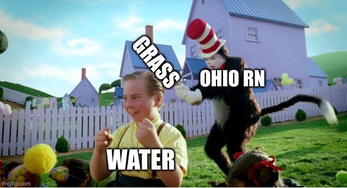 imma get water and here it co- | GRASS; OHIO RN; WATER | image tagged in the cat with the bat,ohio | made w/ Imgflip meme maker