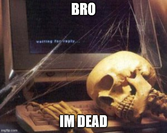 BRO IM DEAD | image tagged in skeleton computer | made w/ Imgflip meme maker